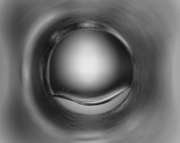 X0000095961151200801251145