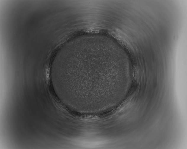 X0000095961154200801251144