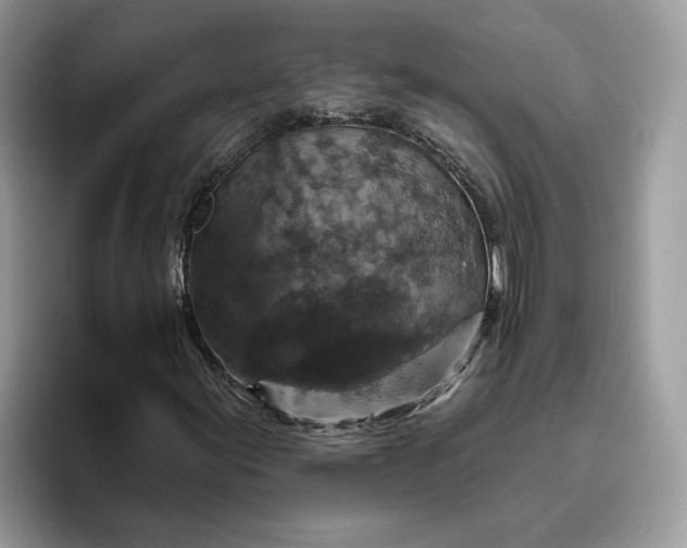 X0000095961155200801251144