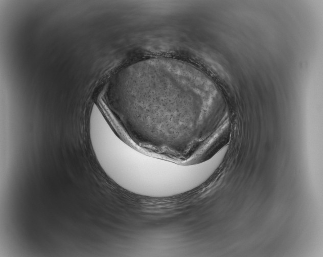 X0000095961156200801251144