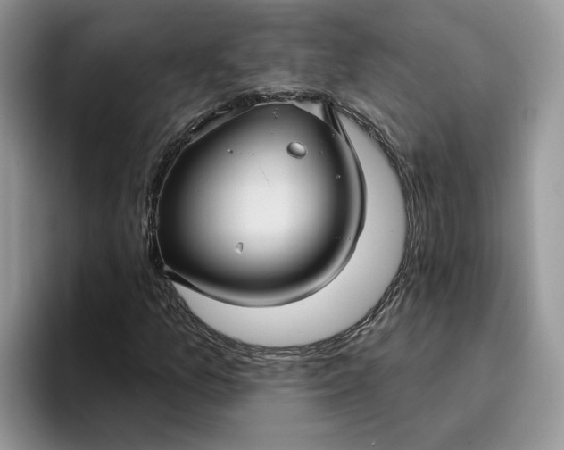 X0000095961157200801251144