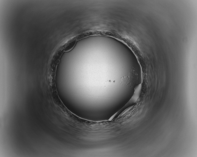 X0000095961159200801251144