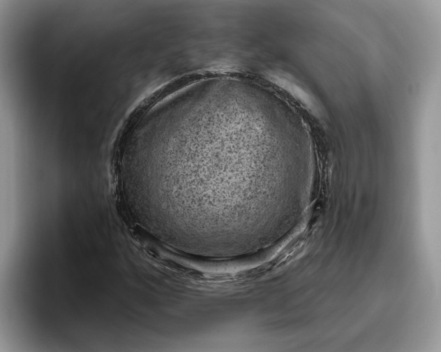 X0000095961160200801251144