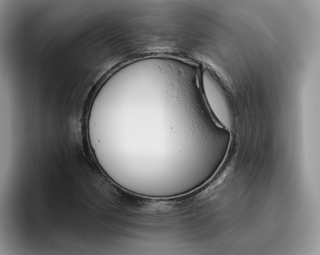 X0000095961162200801251144