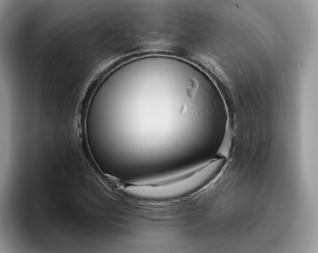 X0000095961164200801251144