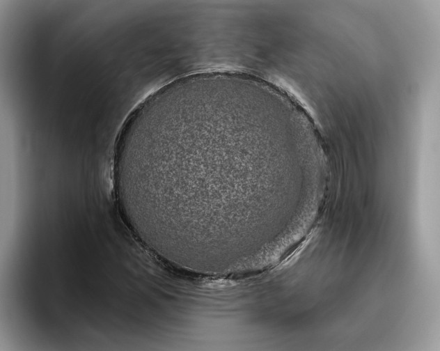 X0000095961165200801251144