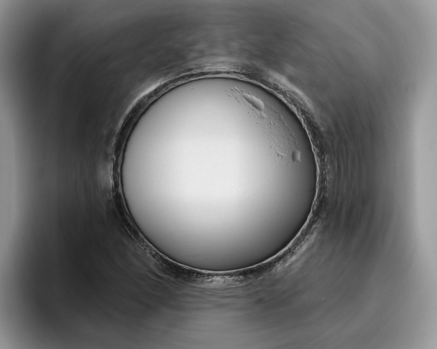 X0000095961166200801251144