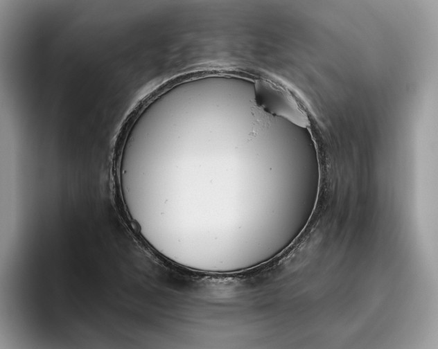 X0000095961168200801251144