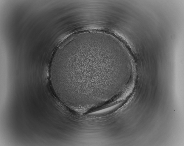 X0000095961169200801251144