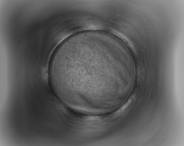 X0000095961170200801251144