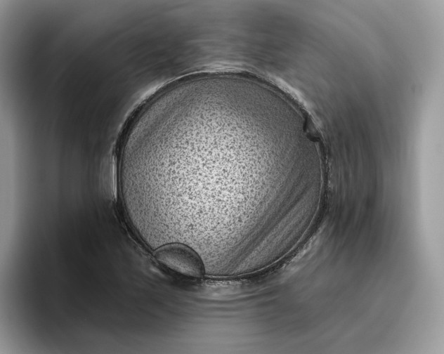 X0000095961171200801251144