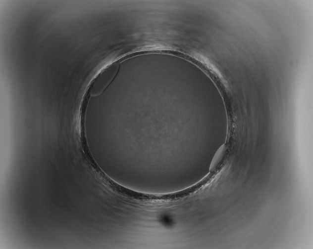 X0000095961173200801251144