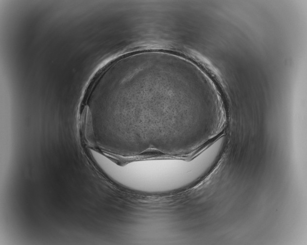 X0000095961174200801251144