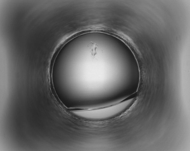 X0000095961176200801251144