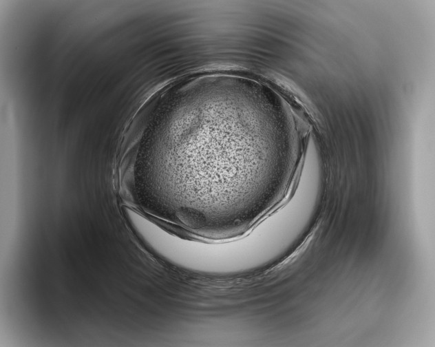 X0000095961177200801251144