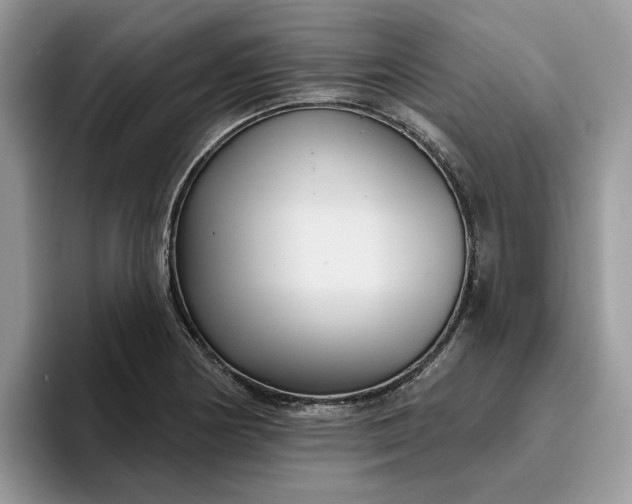 X0000095961178200801251144