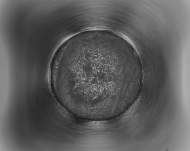 X0000095961179200801251144