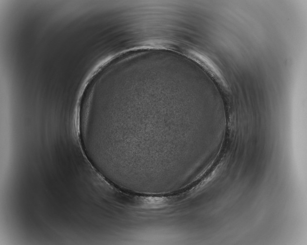 X0000095961180200801251144