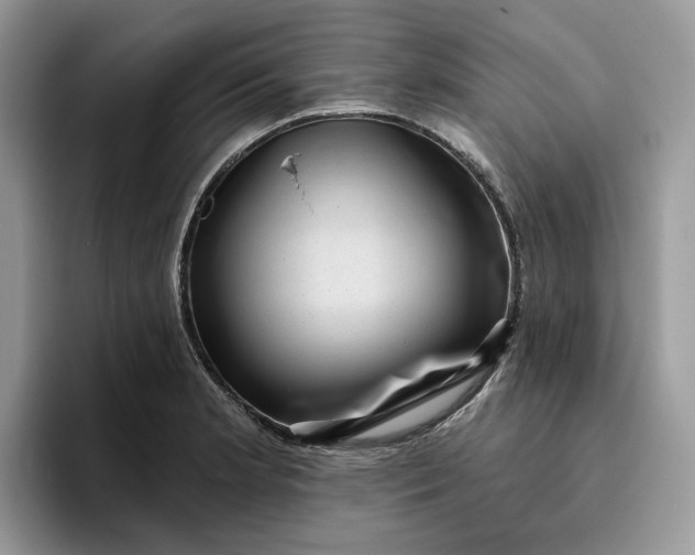 X0000095961181200801251144