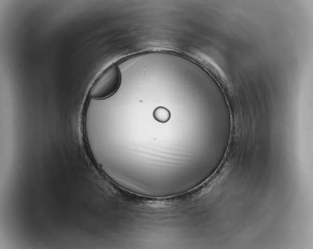 X0000095961182200801251144