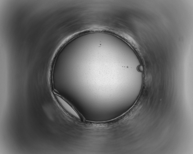 X0000095961183200801251144