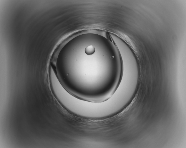 X0000095961184200801251144