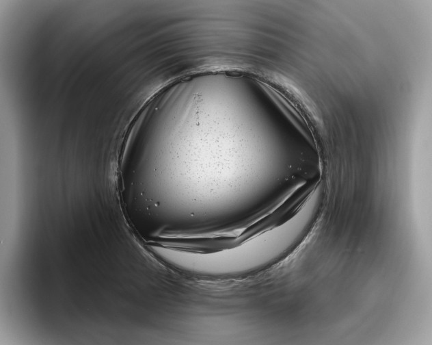 X0000095961185200801251144