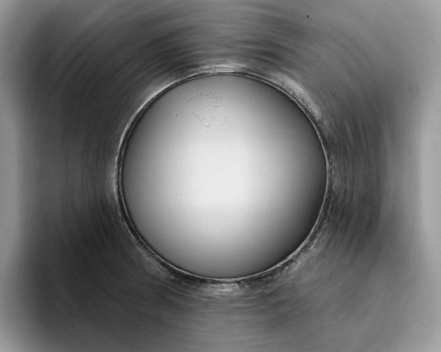 X0000095961186200801251144