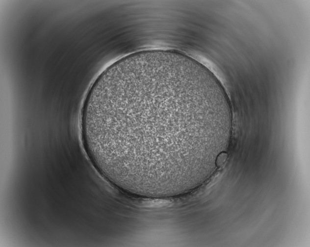 X0000095961187200801251144