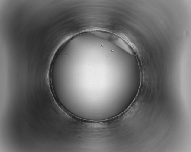 X0000095961189200801251144