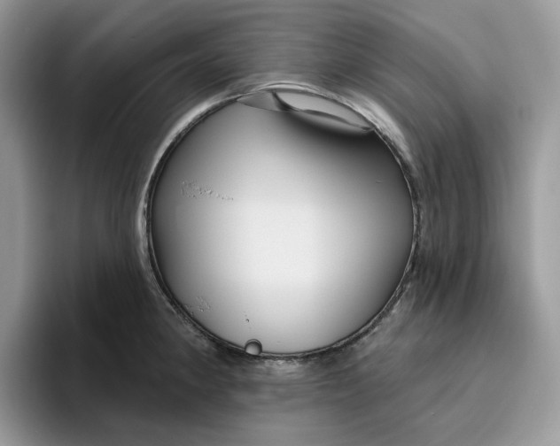 X0000095961190200801251144