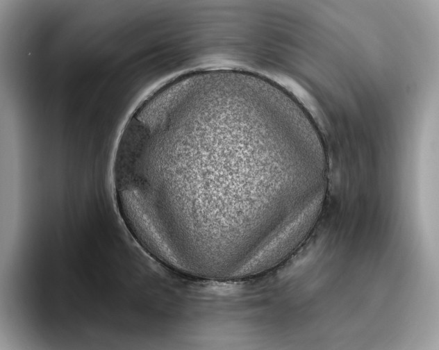 X0000095961191200801251144