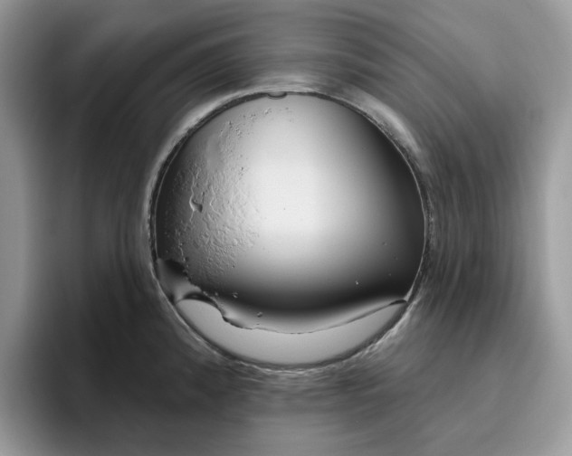 X0000095961192200801251144