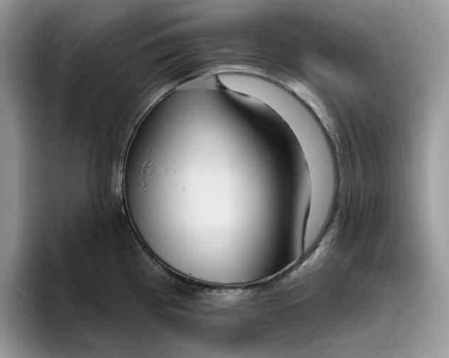 X0000095961193200801251144