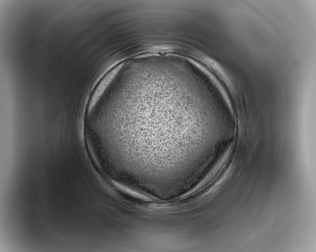 X0000095961194200801251144