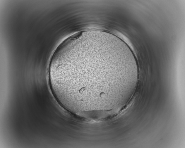 X0000095961195200801251144