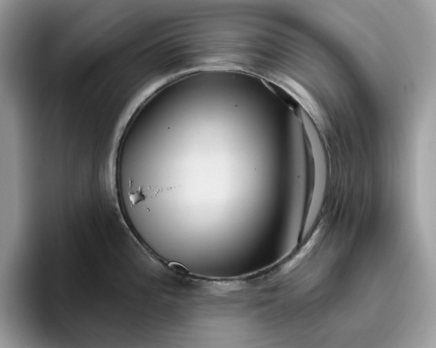 X0000095961196200801251144