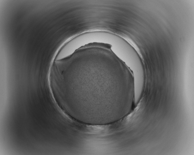 X0000095961197200801251144