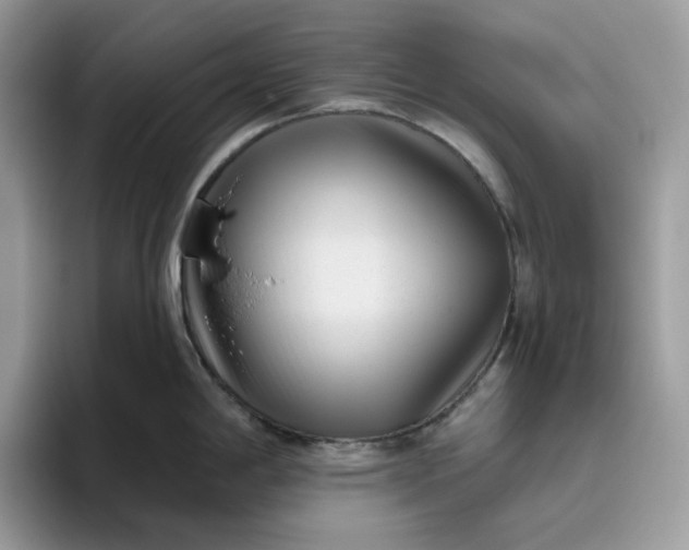 X0000095961198200801251144