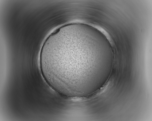 X0000095961199200801251144