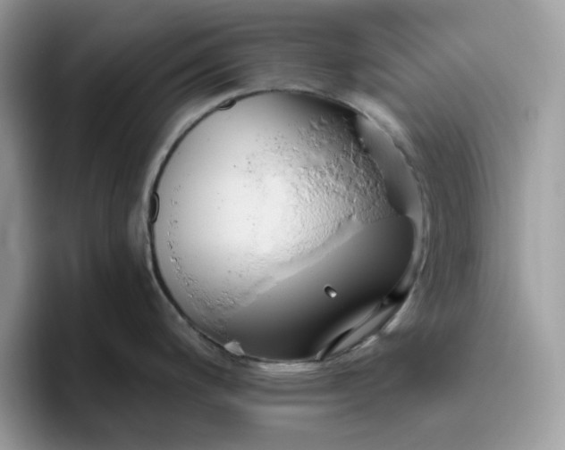 X0000095961200200801251144