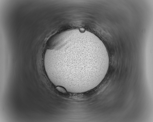 X0000095961201200801251143