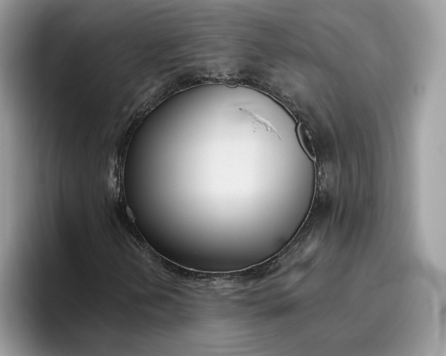 X0000095961202200801251143