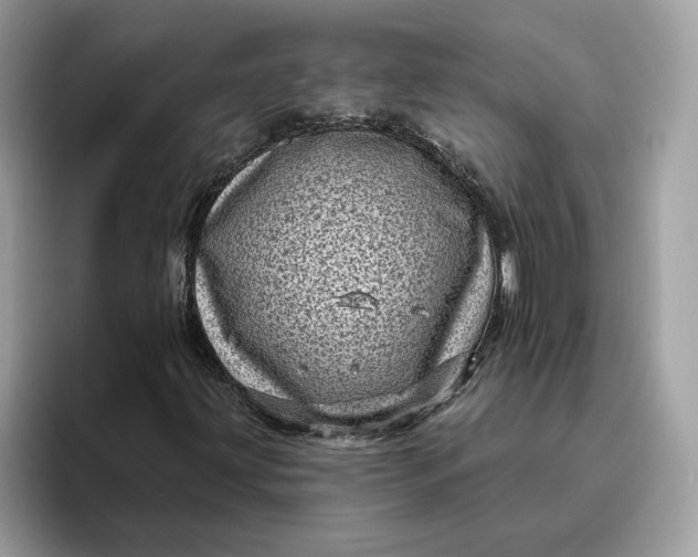 X0000095961203200801251143