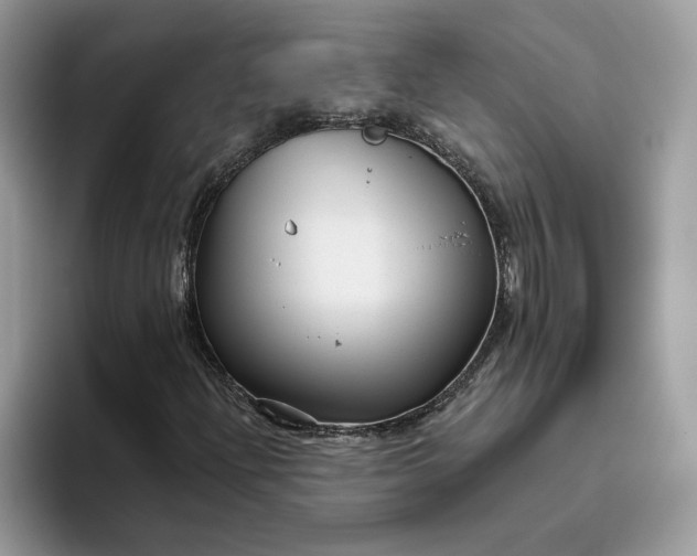 X0000095961204200801251143