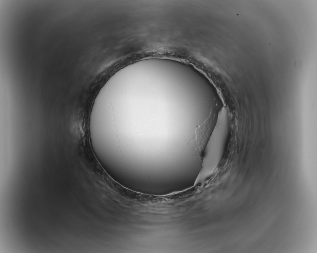 X0000095961206200801251143