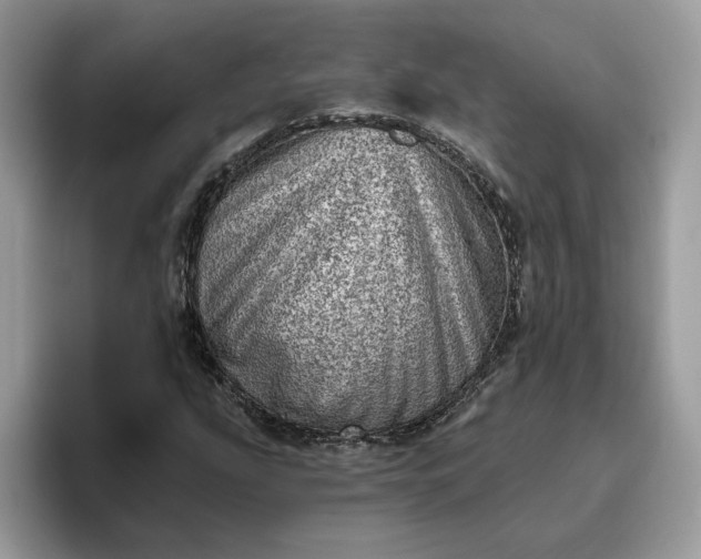 X0000095961207200801251143