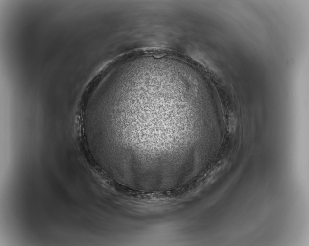 X0000095961208200801251143