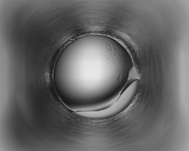 X0000095961209200801251143