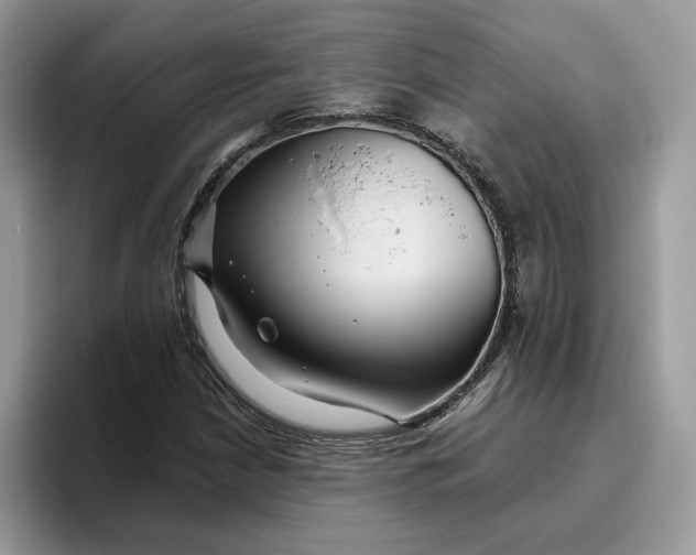 X0000095961210200801251143